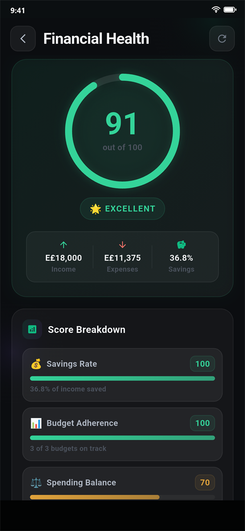 Financial health score