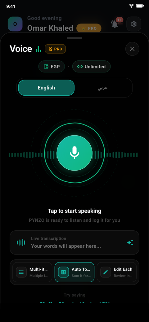 Voice input screen